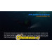 Фонарь Fenix SD10 Cree XM-L2 (T6) Фонарь Fenix SD10 Cree XM-L2 (T6)