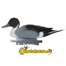 Чучело шилохвость Sport Plast (селезень) Чучело шилохвость Sport Plast (селезень)