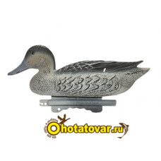 Чучело шилохвость Sport Plast (кряква) Чучело шилохвость Sport Plast (кряква)