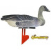 Комплект чучел гусей NRA FUD Bean Goose (Гуменник) Комплект чучел гусей NRA FUD Bean Goose (Гуменник)
