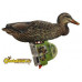 Комплект чучел уток NRA FUD Mallards (Кряква) Комплект чучел уток NRA FUD Mallards (Кряква)