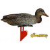 Комплект чучел уток NRA FUD Mallards (Кряква) Комплект чучел уток NRA FUD Mallards (Кряква)