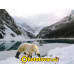Полиуретановые сапоги Polyver Winter Полиуретановые сапоги Polyver Winter