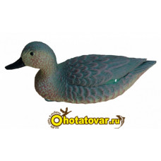 Чучело чирок плавающий (утка) BirdLand Чучело чирок плавающий (утка) BirdLand