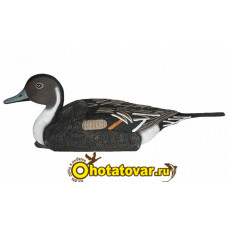 Чучело шилохвость плавающая (селезень) BirdLand Чучело шилохвость плавающая (селезень) BirdLand